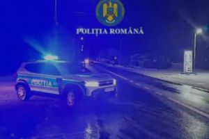 Percheziţii într-un dosar privind exploatarea şi transportul ilegal de material lemnos. Nouă persoane, audiate