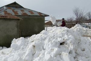 VIDEO Sub nămeţi, viaţa merge mai departe în satele din Bărăgan. Cum se trăieşte iarna în Smeeni