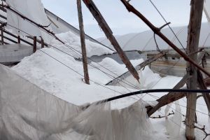 VIDEO Viscolul a distrus zeci de solarii în judeţul Buzău. Pagube estimate la până la 100.000 de euro