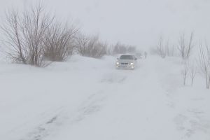 VIDEO Blocaje şi restricţii în Buzău. DN 2C închis, maşini scoase din nămeţi pe DJ 203