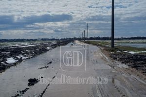 Situaţia accesului către Sălcioara (comuna Mătăsaru) s-a înrăutăţit. Drumul este o capcană cu gropi acoperite de apă!