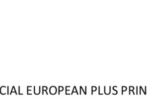 E-Skill – Abilităţi digitale pentru piaţa muncii – COD SMIS 334321