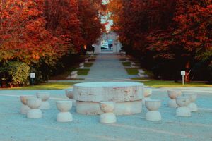 Lucrări de reabilitare în Parcul Central din Târgu Jiu