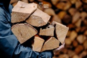 Ocolul Silvic Râşnov începe acordarea lemnelor de foc pentru cererile din 2025