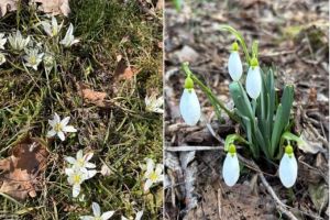 #ConstantaEsteBine: 2 martie 2026 Astazi este a doua Baba din cele 9 ale primei perioade a lunii martie