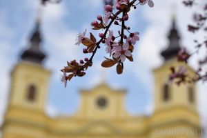 Vremea în următoarele două săptămâni. Temperaturi mai ridicate, dar sunt aşteptate şi ploi