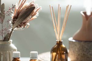 Cum un parfum de cameră profesional schimbă percepţia clienţilor despre afacerea ta