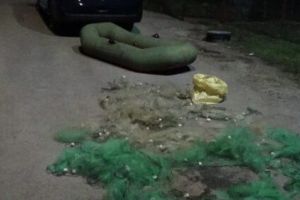 Braconaj piscicol pe râul Olt: Sute de metri de plasă şi o barcă, confiscate de jandarmi. Proprietarul a încercat să fugă, dar a fost prins