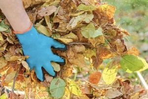 Curăţenie de primăvară, la Sovata