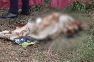 Sfâşietor! Un bărbat de 40 de ani a murit în timp ce lucra pe un şantier