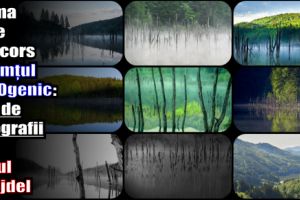 Prima zi de concors – Neamţul FOTOgenic: 100 de fotografii cu Lacul Cuejdel