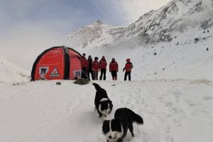 Unităţile Canine Salvamont, într-un stagiu de reconfirmare