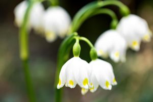 Vreme schimbatoare la Constanta in perioada urmatoare. Ce spun meteorologii 