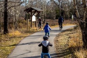 „Insula Bicicletelor” – un nou început pentru mişcare şi educaţie în natură, pe Insula Mureş