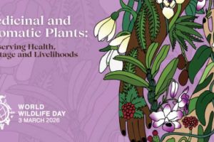 3 martie – Ziua mondială a vieţii sălbatice (ONU)