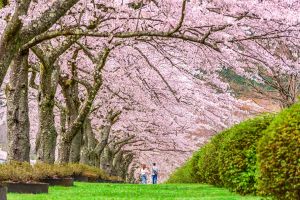 ANM: Temperaturi mai mari decât cele specifice în luna martie