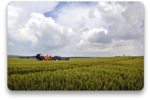 Anul agricol 2025, în judeţul Covasna: producţii, pagube şi tendinţe