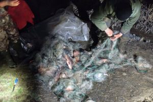 2 braconieri prinşi în flagrant pe râul Olt, la Voila. 230 kg de crap, găsite în barcă