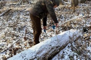 Zeci de sancţiuni în urma controalelor desfăşurate de Garda Forestieră Focşani în luna ianuarie