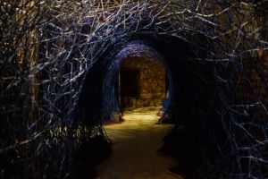 Ateliere de primăvară. Teatrul Senzorial recrutează actori amatori