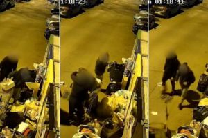 VIDEO. Lenea şi nesimţirea i-a costat aproape 10.000 de euro. Trei bărbaţi depistaţi pe camere abandonând deşeuri