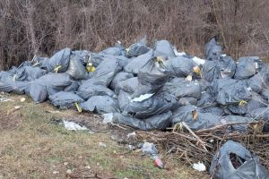 Toleranţă zero faţă de gunoaiele aruncate ilegal. Primăria Giarmata sancţionează fără excepţie