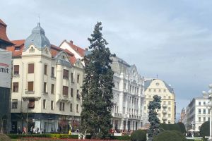 Ce facem astăzi, 4 martie 2026, în Timişoara?