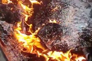 VIDEO Amendă de 70.000 lei pentru un afacerist din Botoşani. Pentru ce l-au „ars” la buzunar autorităţile