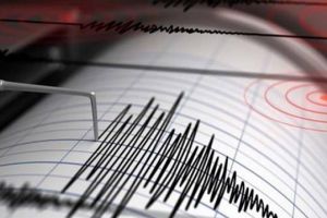 Cutremur în Vrancea, noaptea trecută. Ce magnitudine a avut