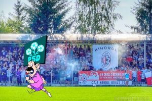 Politica, sport naţional: Concurs cu dedicaţie pentru şefia Clubul Sportiv Bihorul Beiuş