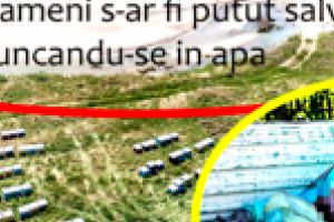 Un roi de albine din Braila a ucis doi oameni