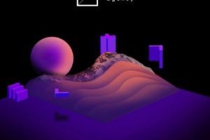 Agentia Fortin - Creare site profesional cu instrumente digitale moderne