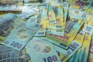 I-au furat 1.000 de euro, 100.000 de forinţi şi 10.000 de lei.
