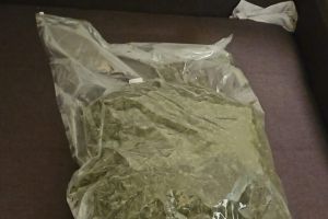 Prins în flagrant cu 2 kg. de canabis, la Timişoara. Bărbat reţinut pentru trafic de droguri