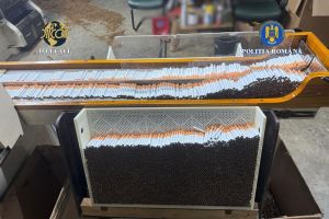 Fabrică ilegală de ţigarete, descoperită la Timişoara