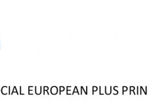 E-Skill – Abilităţi digitale pentru piaţa muncii – COD SMIS 334321