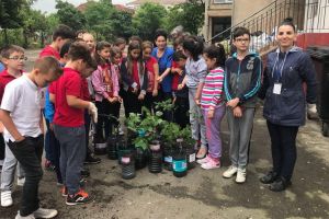 Let’s Get Green: Elevii de la Şcoala 11 au plantat 100 de puieţi de arbori (FOTO)