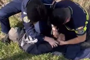 Cioban bătut şi omorât de altul, la Curtea