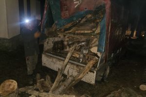 Lemne furate din pădurile din Polovragi, depistate în trafic