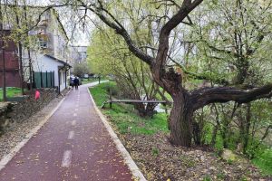 Încep lucrările pe Valea Căstăilor, o viitoare zonă de recreere şi promenadă