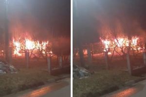 VIDEO Clipe de groază pentru o familie din Botoşani. Casa în care locuiau o femei şi fiul ei a ars complet la miezul nopţii