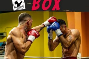 Sparring Box, pe 18 aprilie 2026, la Baza Sportivă Zărneşti