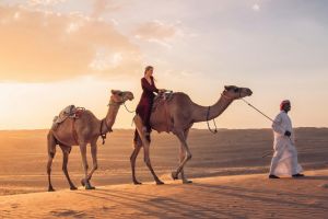 Cămile cu botox şi silicon: 20 de animale, descalificate de la un festival de frumuseţe