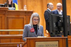 Alina Gorghiu: Proiect pentru informarea victimelor violenţei, adoptat de Camera Deputaţilor