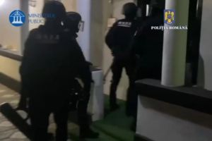 Percheziţii în 4 judeţe: Câini fără stăpân eutanasiaţi ilegal. Sunt vizate şi primării (VIDEO)