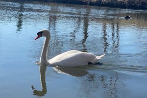 #ConstantaEsteBine: 5 martie 2026 A 5-a baba a lunii martie, schimbatoare, mofturoasa si imprevizibila ca toate celelalte