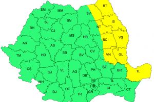 Vrancea, cod galben de vânt