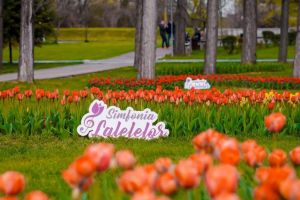 Anunţul momentului despre Simfonia Lalelelor, cel mai aşteptat eveniment al anului