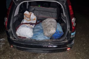 Braconierii din Avrig, eliberaţi: magistraţii au luat o măsură mai blândă