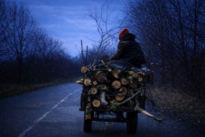 Doi tineri prinşi în timp ce furau lemne dintr-o pădure din Brateiu